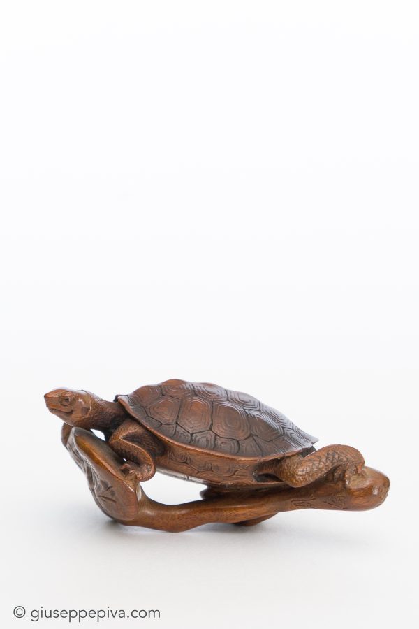 Netsuke in legno raffigurante una tartaruga su un ramo di loto